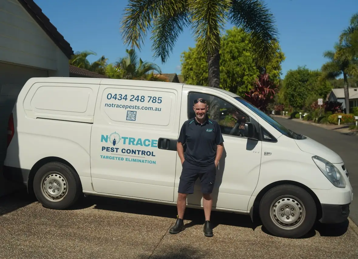 Professional pest control technician